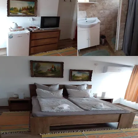 Гостевой дом Georgeta, De Inchiriat 3*