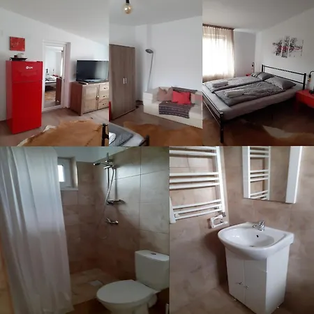 Гостевой дом Georgeta, De Inchiriat 3*