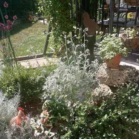 Georgeta, De Inchiriat 3*